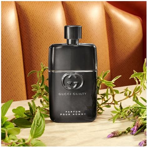 gucci guilty oud pour homme|gucci guilty fragrantica men.